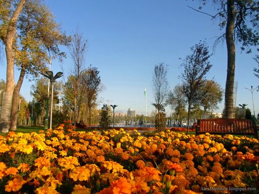 Alexmashkov.blogspot.com